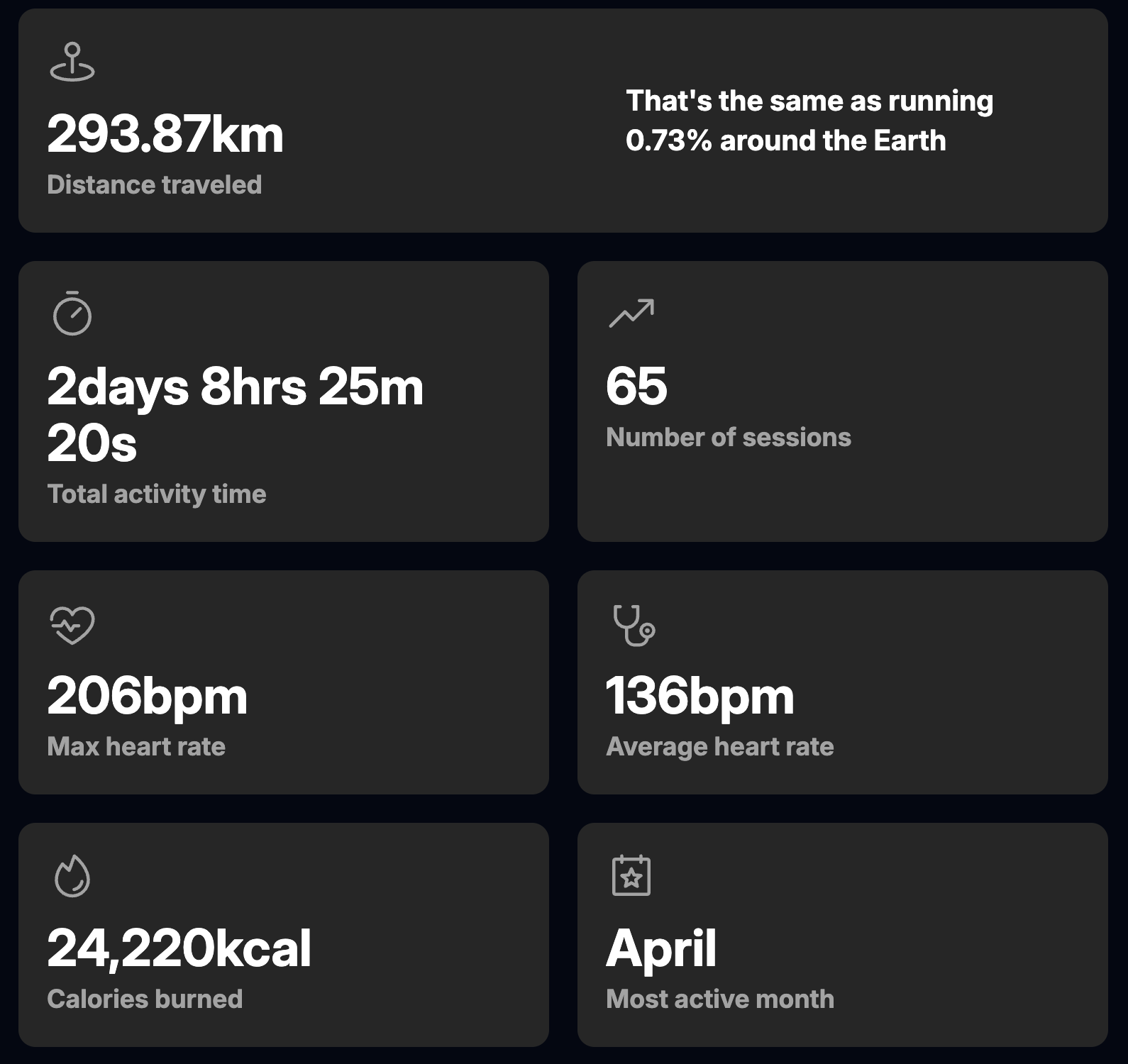 Example of a garmin AI summary